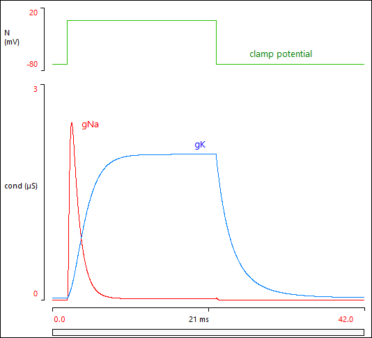 VC Na and K conductance